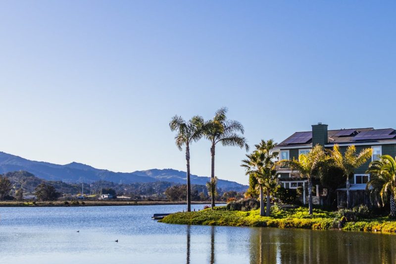 Lakeside mansion with palm trees under a clear blue sky.