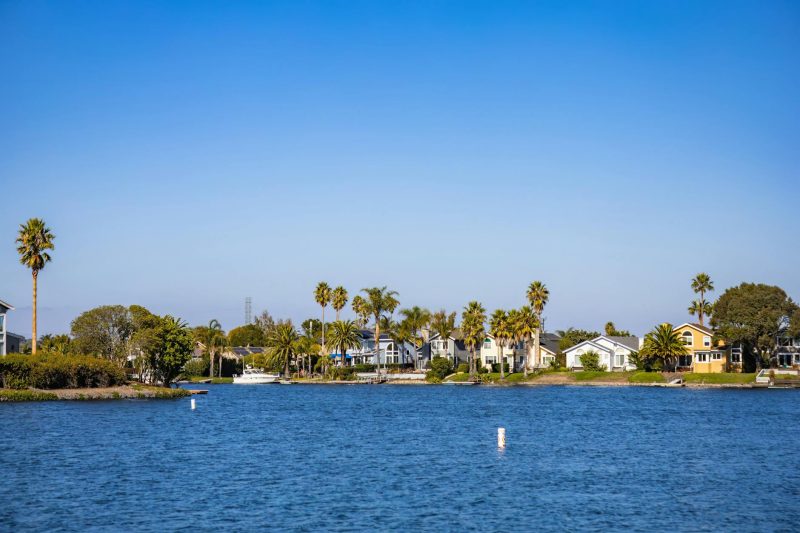 Waterfront homes surrounded by palm trees under a clear blue sky on a sunny day.