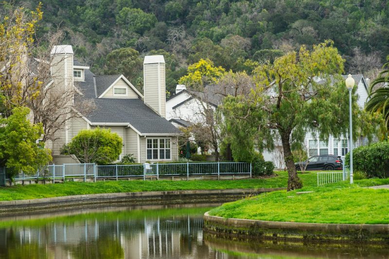 Charming suburban houses surrounded by lush greenery along a serene canal.