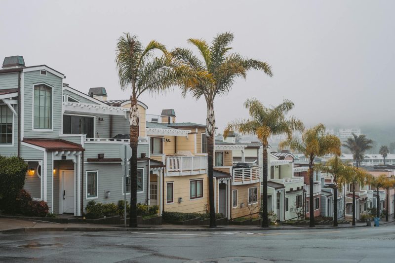Suburban street lined with colorful houses and palm trees, shrouded in fog.